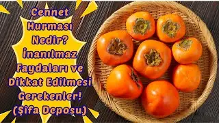 Cennet Hurması (Trabzon Hurması) Nedir? İnanılmaz Faydaları ve Dikkat Edilmesi Gerekenler!