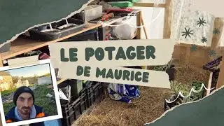 Reussir ses semis de piments poivrons et aubergines   