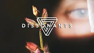 Dissonants - 