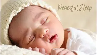Sleep Therapy with Quran | Calm Recitation to Ease Your Mind 🕊