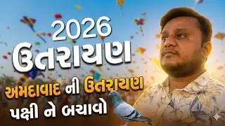 Ahmedabad ni Uttrayan 🪁 Save Birds 🐦 
