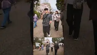 Sakura in Japan | Walking Through Ueno Park on a Sunny Day, Tokyo ♫🎹 Johnny JAM🎸