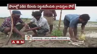 Fish Rain Thrills AP Village  Krishna District 19 06 2015 ABN Telugu