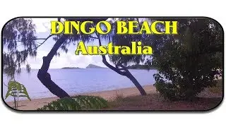 DINGO BEACH in the Whitsundays, Australia By Drone