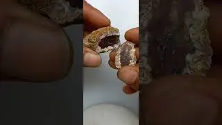 moss agate red
