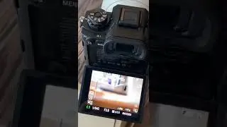 Sony A1 Frame Rate Speed | Sony Alpha1 Electronic High Speed Shutter sound