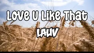 Love U Like That | Lauv Lyrics Video