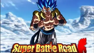 Fusion SBR(13/50)|DBZ DOKKAN BATTLE