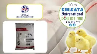 Leading Importer, Exporter & Distributor Of Chemicals | GLOBAL  CHEMICALS | KIPF 2024 | Hybiz Tv