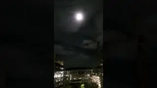 Rainbow ring around the moon Moonbow #shorts #youtubeshorts #ytshorts #viral #moon #moonbow