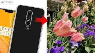 OnePlus 6 - First Official Camera Samples