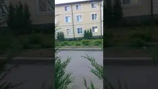 Tver region.  June 8