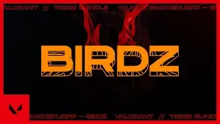 Wuki x Smokepurpp - Birdz (Lyrics) // Tigris BUNDLE // VALORANT