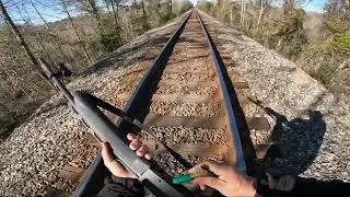 Deer hunting in South Carolina