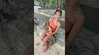 GASTEI R$4.000,00 pra n&atilde;o pegar RAIVA DO MACACO