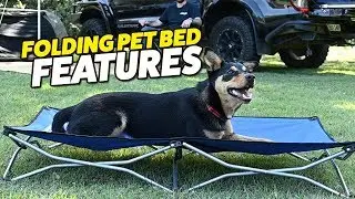 Adventure Kings Folding Dog Bed Features