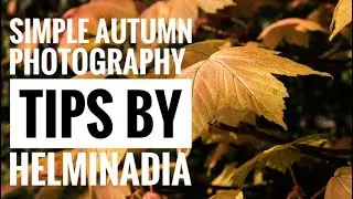 Simple Autumn Photography tips by Helminadia