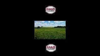 MAC Trailer has taken commercial trailer manufacturing to the next level.