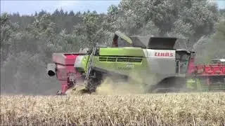 Bartlows 2020 wheat harvest