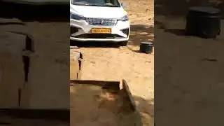 8 year old child drive a car