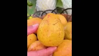 Amazing fruit cutting#shorts@bbexplainer3907