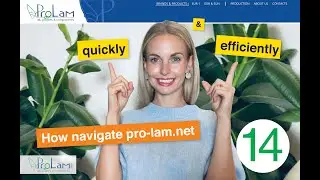 How to navigate pro-lam.net