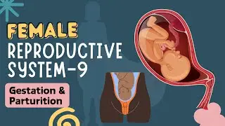 🔴 LIVE NEET 2026 | Human Reproduction L-13 | Female Reproductive System-9 | Dr. Sachin Kapur | AIIMS