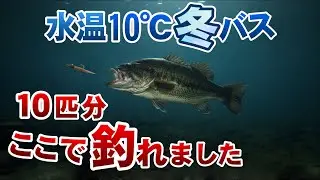 【バス釣り】まだまだ爆釣する真冬の水温10℃台
