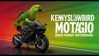 Motorcycle Parrot Racing (Compilation)