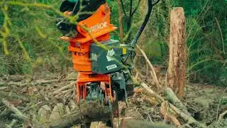 Cesoia Forestale by Wreko nell'ottava stagione di UNDERCUT: l'oro di legno