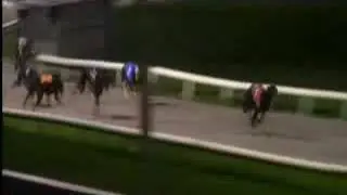 IGB - The Jaytee Taylor A1  21/09/2018 Race 9 - Kilkenny