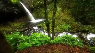 Peace Meditation (English) Golden Rule Day 2020