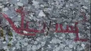 H&auml;llristningarna i H&ouml;gsbyn i Dalsland