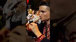 Amazing instrument 🪈