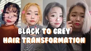 BLACK TO GREY HAIR TRANSFORMATION! Bleaching and Toning Hair Progression [SUNISPRETTY]