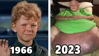FAMILY AFFAIR (1966-1971) Cast THEN and NOW, All the cast is getting old horribly!!