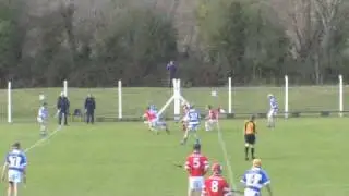 Ballygarvan Minors 2010
