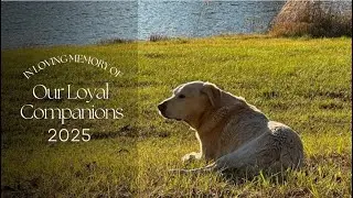 2026 Memorial Video - Celebration of Life