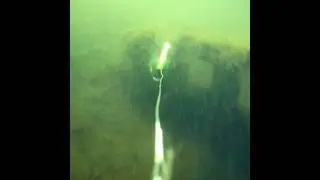 Speed trolling with a Northland Mimic Minnow - watch out for those cinder blocks? #underwatercamera