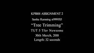 KPB101- Assignment 2 