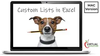 How to Create Custom Lists in Excel   MAC Version