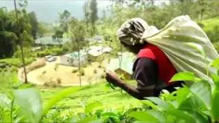 Ceylon Tea Trails on ETV Made in Sri Lanka