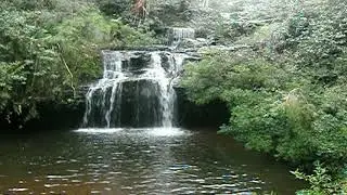246-Frederica Falls, Empire Pass, St Michaels & Fairy Falls/Echo Point Nth Lawson Blue Mtns Pt1 20'.