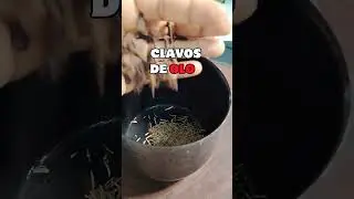 🔥C&oacute;mo hacer que el cabello BLANCO se VUELVA negro  | C&oacute;mo hacer que el cabello se ponga NEGRO