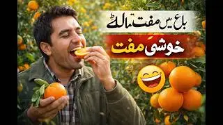 A Great Free Oranges || The Power of Oranges! 🍊 Boost Your Immunity Naturally! 😊 #Oranges