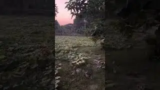 Enjoy this vlog from my farm. #farming #farmer #indianfarmer #explore #india