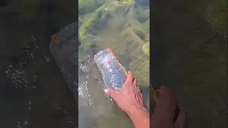 Perangkap ikan dari botol mudah untuk dapat ikan#fish