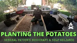 PLANTING BACKYARD POTATOES DIY #garden