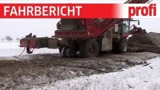 Holmer Terra Felis 2 (HD)