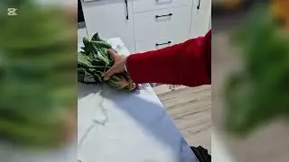 Veggie Shopping NZ